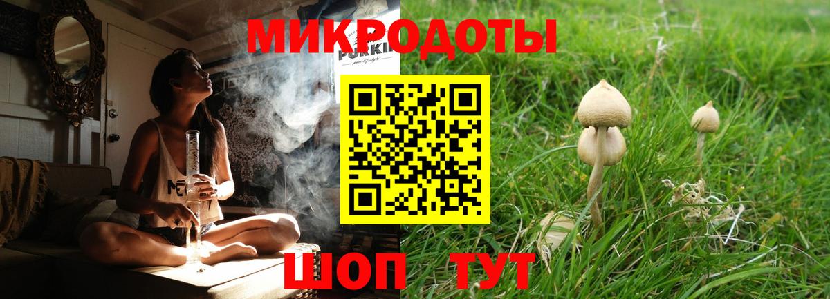 Михайловка  Галлюциногенные грибы ЛСД  Вход с VPN 